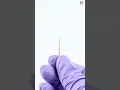 Download Lagu Waldent Gutta Percha Points Protaper (Length Marked) - Precision for Root Canal Treatments
