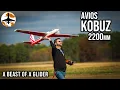 Sporty, 3D Capable, Insanely Fun - Avios Kobuz 2200mm Review