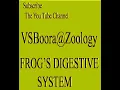 Zoology9 Rana tigrina common Indian Bull Frog 2 Digestive System Zool NET JRF