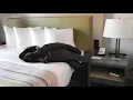 Country Inn Suites by Radisson Newark Airport Review