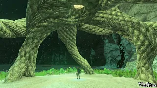 How to Find Apapes Lightroot Location - The Legend of Zelda Tears of The Kingdom