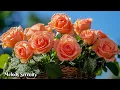 Download Lagu Музыка для души🌺Можно слушать вечно🌿Лучшие композиции Сергея Грищука