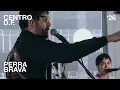 Delfino 08.5 FM - Perra Brava