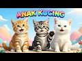 Lagu LAGU ANAK 🇮🇩 ANAK KUCING MEONG MEONG - KITTEN SONG - LAGU ANAK BALITA VIRAL