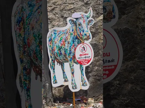என்னத்த சொல்ல!! #cow #cowplastic #starycow