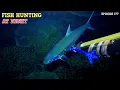 Lagu EPS 177 NIGHT SPEARFISHING | FISH HUNTING AT NIGHT 