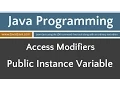 Learn Java Programming - Public Access Applied to an Instance Variable