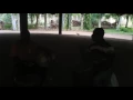 Download Lagu Bara rhythm old-school Mali style djembe solo played by Master Karim Coulibaly