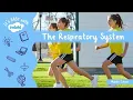 The Respiratory System for Middle School Students It s Easy With Twinkl Twinkl USA