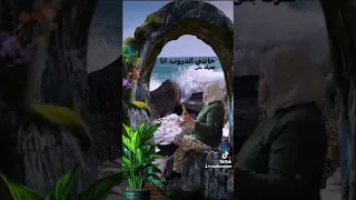 يا بحر  يا بعيد شفتك تسرق مني النوم  دندنها