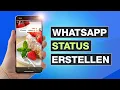 WhatsApp Status erstellen - Schritt für Schritt Tutorial - Testventure