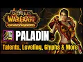 Cataclysm Paladin Guide - Talents Leveling Changes More