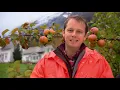 Download Lagu New Scandinavian Cooking - A World of Apples