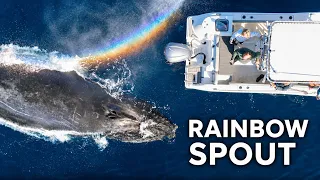 When a Whale Breathes a Rainbow