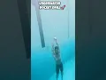 Download Lagu Deep Base to Surface like a Dolphin 🏊🏻 #swimming #swimmingtips #swim