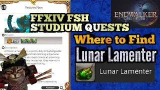 Where to Find Lunar Lamenter Fish for lvl 90 FSH Studium Delivery Pastures New FFXIV Endwalker