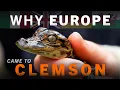 Alligator Conservation without Borders