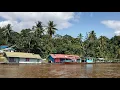 Download Lagu Kampung kecil suku Dayak Muslim di pedalaman sungai Barito. Bersih \u0026 hijaunya Desa Jangkang Lama.