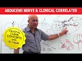Abducens Nerve and Clinical Correlates