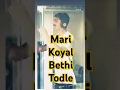 Download Lagu MARI KOYAL BETHI TODLE | SAJNA | 2025HITSONG | BEST WEDDING SONG  #trending #plusgraphicsmaketing
