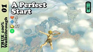 Great Sky Island | Full 100% Completion Walkthrough | Zelda Tears of The Kingdom | TotK