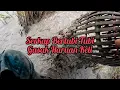 Lagu GASAK 🔥 Serkap Bertubi- Tubi Haruan Keli Di Jalan Baru Pulau Bunting s428