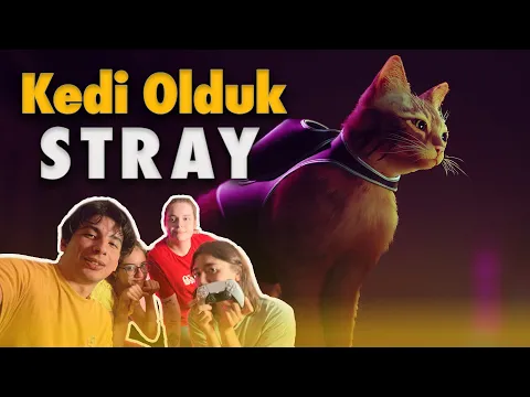Kedi Olduk - Stray - PS5 | Canlı Yayın