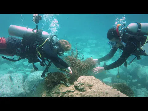SEA WITHIN A SEA (2021) | Official Trailer