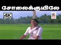 Download Lagu Solai kuyile 4K S.P.சைலஜா பாடிய தெம்மாங்கு பாடல் சோலைக்குயிலே காலைக்கதிரே