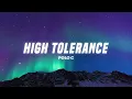 Polo G - High Tolerance (Lyrics)