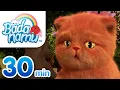 Download Lagu Cat Lovers Compilation l Nursery Rhymes \u0026 Kids Songs