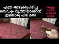 Download Lagu വെള്ളവും വെയിലും വേണ്ട,എത്ര അഴുക്കുപിടിച്ച ബെഡും നിഷ്പ്രയാസം വൃത്തിയാക്കി എടുക്കാം/Cleaning tips