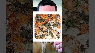 New Single A Winter Day In London Available Tomorrow On All Streaming Platforms 