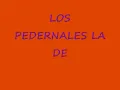 LOS PEDERNALES LA DEL MONO COLORADO.wmv