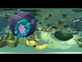 Cell parts and function-Nucleus-Nucleur membrane-nucleolus-nuclear pores