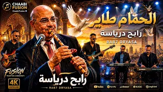   رابح درياسة   الحمام طاير    نسخة عصرية                   دندنها