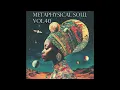 Download Lagu Metaphysical Soul Vol.40| Baselinez Radio (Full Lofi Beat Tape)