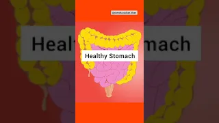 Khajoor Ke Benefits Shorts  Khajoor Ke Benefits Shorts