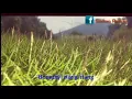Download Lagu Bini Melawan Laki ( istri Yang Melawan Kepada Suami )