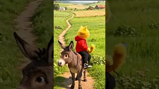 القط مياو راكب الحمار Cat الجيلي Funny النظافه Cute المراه Kitten العريفي موسيقار 