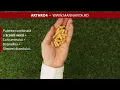 Download Lagu Arthro4 • Extract de scoică verde din Noua Zeelandă + Curcumină + Boswellia + Gheara diavolului