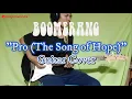 Download Lagu Boomerang - Pro (The Song of Hope) || Guitar Cover