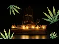 Medical Marijuana in Michigan LARA Pre Approval License Meeting