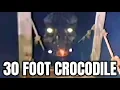 30 Foot Crocodile Seen in the Philippines