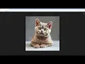 Custom Wall Clock with AI PLUS PRINT in Just One Minute Clay Style British Shorthair