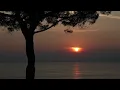 Riscape - Afronoons Mix [Summer 2026]🌴🌅 #electronicmusic #mix #afronoons #riscape