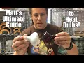 How to Choose the Right Heat Bulb for Your Pet Reptile