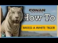 How to Breed a White Tiger 100 Success In Conan Exiles 2025