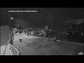 Mountain lion in Great Falls