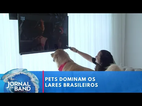 Download MP3 Pets ditam o ritmo de várias casas pelo país | Jornal da Band